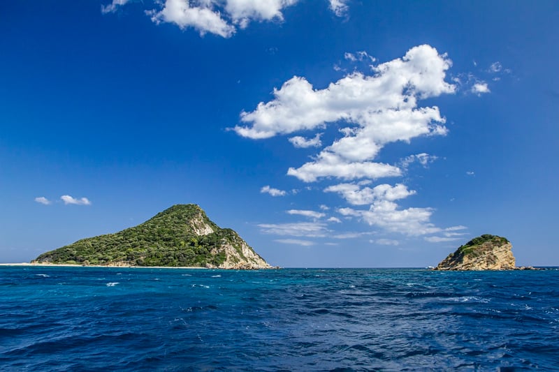 Snorkeling Trip